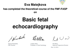 Basic fetal echocardiography